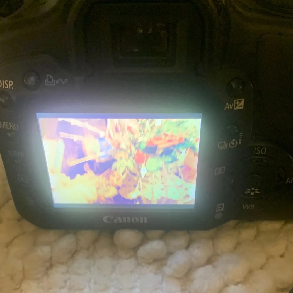 Canon EOS Rebel XTi Black Camera